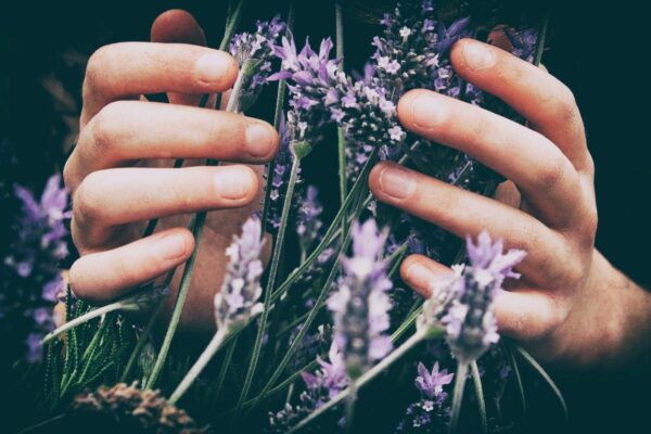 Comment avoir de belles mains nous donne de l’énergie