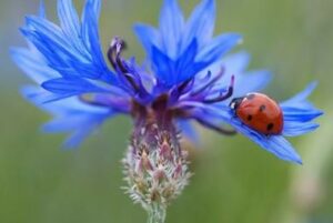 Comment se préparer pour être plein d’énergie au printemps