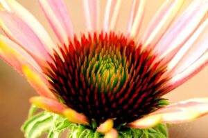 Une énergie abondante dans l’orbite microcosmique