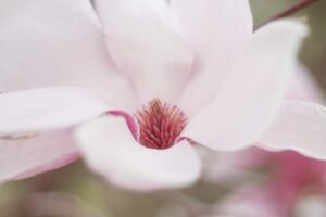 Vivre les changements (de saison) sereinement