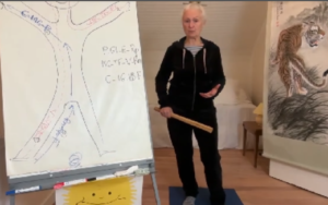 La pratique des cellules souches avec fouet en bambou