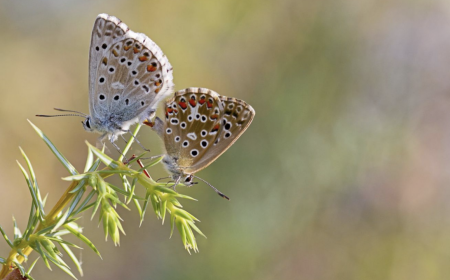 Capture d’écran 2020-09-18 à 19.27.30